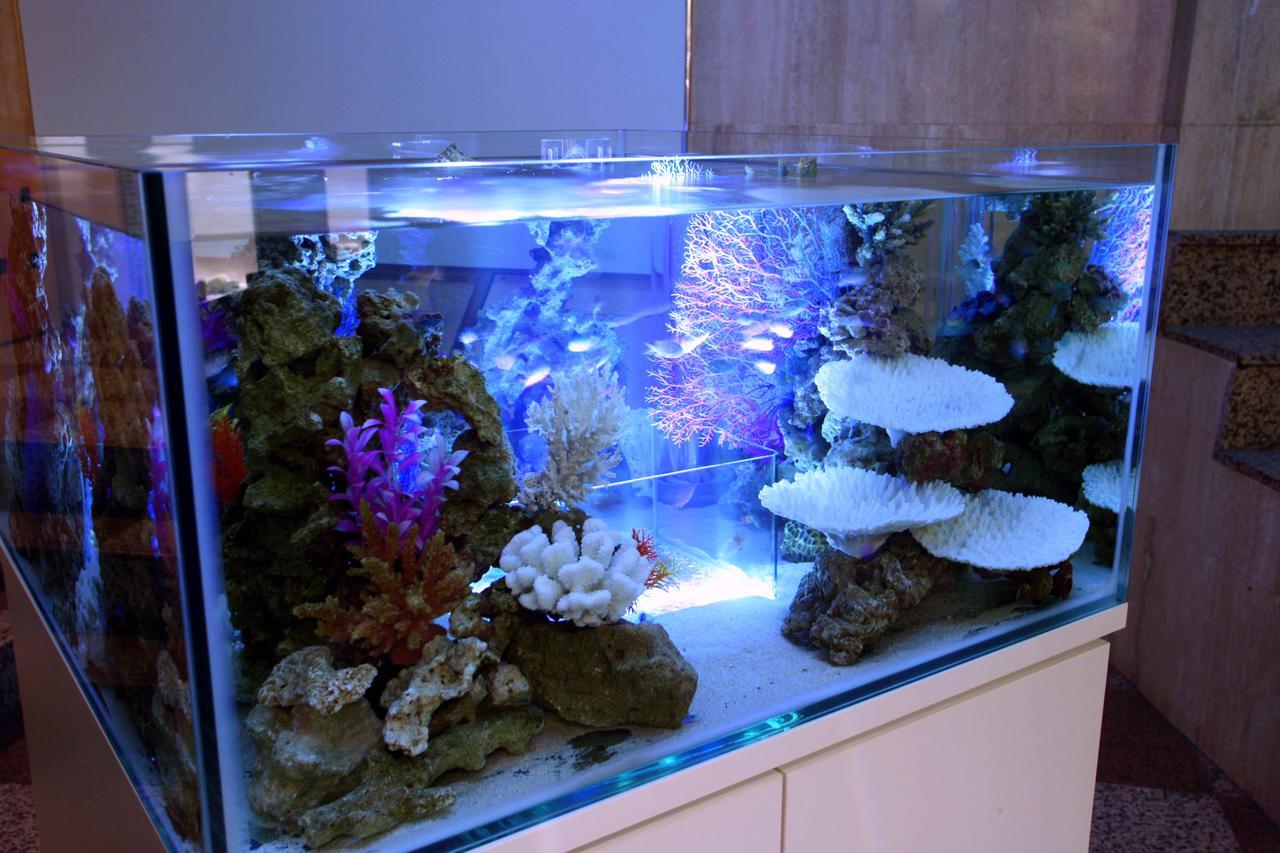 Hotel Aqua Blue Yokosuka (Adults Only) Zewnętrze zdjęcie